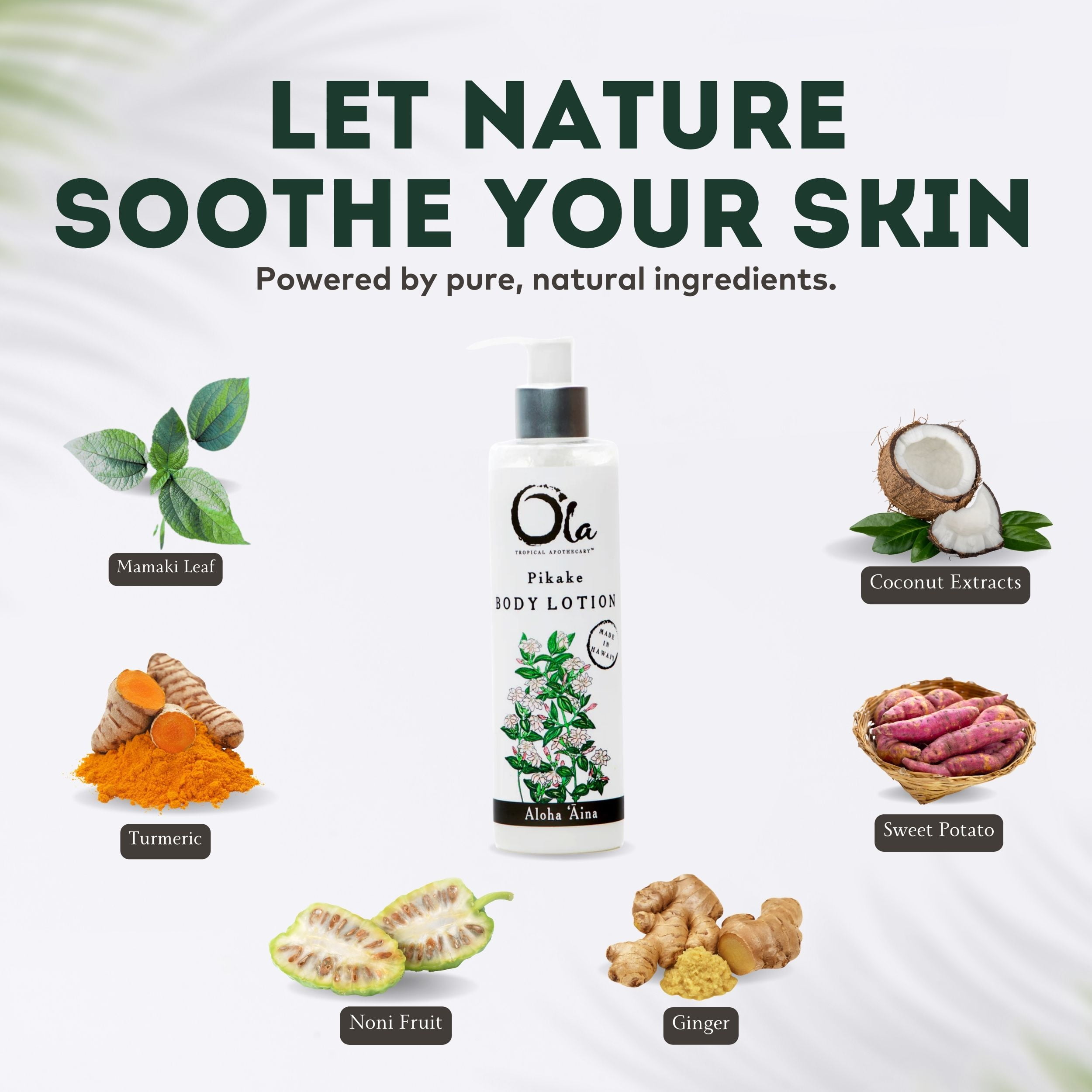 Ola Tropical Apothecary Pikake Body Lotion with Pure Tropical Oils and Plant Extracts - 8.45 Fl Oz