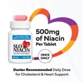 thumbnail image 4 of Slo-Niacin Slow Release Niacin 500mg – Vitamin B3 Supplement for Heart Wellness – Flush-Free B3 Vitamins for Cholesterol & Cardiovascular Support – 100 Tablets, 4 of 7