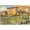 Unframed, variant on Art.com Biltmore Golf Course, Coral Gables, Florida Art Print, 24" x 16"
