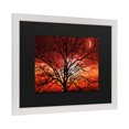 thumbnail image 2 of Trademark Fine Art 'Big Bad Moon' Canvas Art by Philippe Sainte-Laudy, 2 of 4