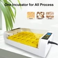 thumbnail image 4 of Incubadora de 24 huevos con giro automático de huevos, control de humedad y, 4 of 8