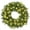 Green White Lights - 24 Inch, variant on Casafield 60 Inch Pre-Lit Artificial Christmas Wreath with LED Lights Indoor/Outdoor Holiday Décor