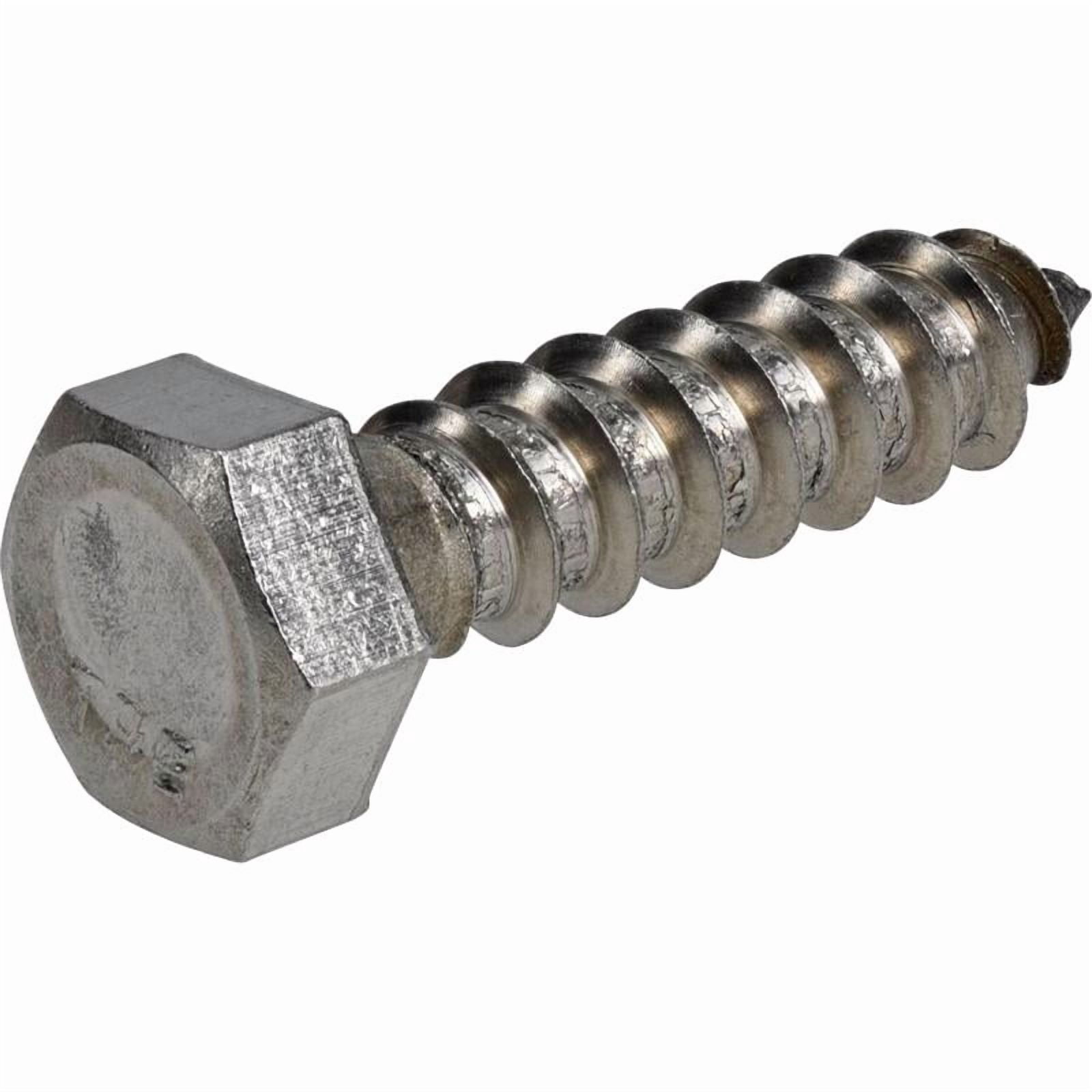 Hillman 3/8" Stainless Steel Hex Lag Screw
