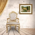 thumbnail image 3 of Jones, Adam 32x23 Gold Ornate Wood Framed with Double Matting Museum Art Print Titled - Mountain lion jumping across rocks-Puma concolor-Captive, 3 of 4