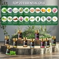 thumbnail image 2 of MAYJAM 20Pcs Essential Oils For Humidifier, Aromatherapy Oil Diffuser Oils For Candle Making, 2 of 11