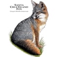 thumbnail image 3 of CafePress - Santa Cruz Island Fox Mug - 11 oz Ceramic Mug - Novelty Coffee Tea Cup, 3 of 6