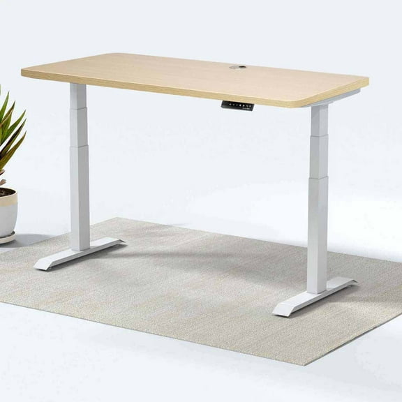 MotionGrey Height Adjustable German Electric Dual Motors Sit to Stand Office Standing Desk - White Frame with Oak Brown Top (165cmx60cmx2.5cm)