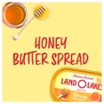 thumbnail image 2 of Land O Lakes Honey Butter Spread, Spreadable, 6.5 oz Tub, 2 of 10