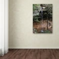 thumbnail image 3 of Trademark Fine Art 'Ash Cave Falls in April' Canvas Art by Kurt Shaffer, 3 of 3