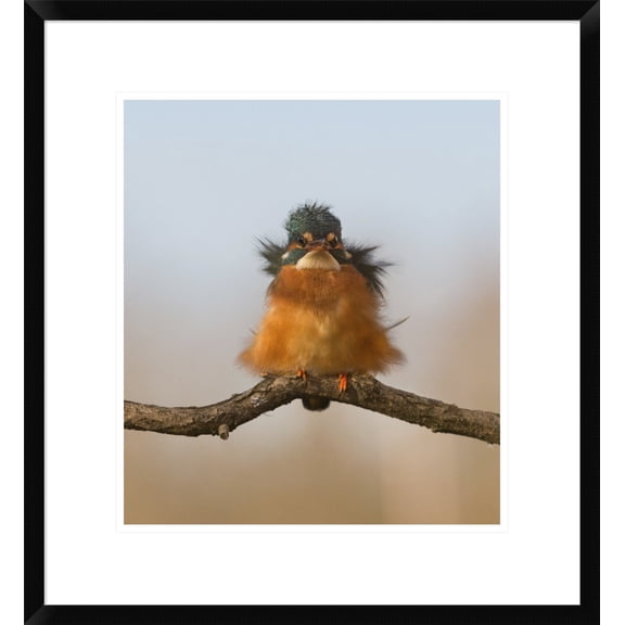 Global Gallery Cheng Chang 'Against Wind' Framed Wall Art
