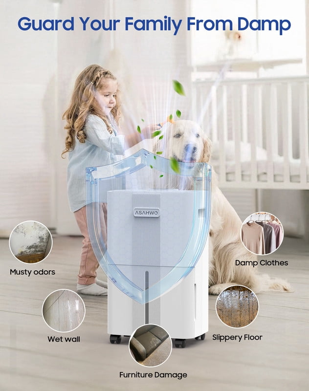 21 Pint 1600 Sq. Ft. Dehumidifier with 3 Modes, 24-Hour Timer, and Auto Defrost