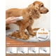 thumbnail image 4 of Kit de peluquería canina unibono 7116, silencioso y resistente al agua, USB, 4 of 7