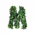thumbnail image 1 of Modern Home 12" Real Preserved Boxwood Monogram Wreath Letters - M, 1 of 2