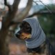 thumbnail image 1 of unbranded Bufanda Y Orejeras Para Perros Con Protección Ruido Y Ajuste Cómodo, 1 of 6