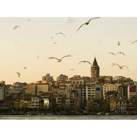 Seagulls Flock Above the Golden Horn, Istanbul, with the Galata Tower in the Background Print Wall Art By Julian (The Best Of A Flock Of Seagulls)