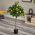 thumbnail image 3 of Nearly Natural 4' Lemon Artificial Tree, 3 of 4