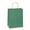 Green, variant on Gift Bags 8x4.25x10.5 100Pcs Brown Paper Gift Bags with Handles Bulk for Wedding, Party Favor, Grocery, Shopping, Retail, Merchandise Medium Kraft Paper Sacks