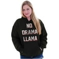 thumbnail image 3 of No Drama Llama Alpaca Chill Relaxed Unisex Plus Fleece Graphic Hoodie Brisco Brands 2X, 3 of 5