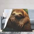 thumbnail image 3 of Cute Asleep Sloth Blanket Gifts for Adults Women Flannel Throw Blankets 80x60, 3 of 6