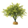 thumbnail image 1 of Exo Terra Exo Terra Terrarium Plant Boxwood Bush, 1 of 1
