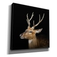 thumbnail image 2 of Epic Graffiti 'Sika Deer' by Epic Portfolio Giclee Canvas Wall Art, 37"x37", 2 of 8