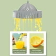 View all media