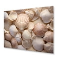 thumbnail image 2 of Designart "Beige Clam Seashell Euphony I" Clam Metal Wall Art Prints, 2 of 5
