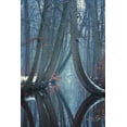 thumbnail image 2 of Podt, Martin 23x32 White Modern Wood Framed Museum Art Print Titled - The Bent Ones - Winter Version, 2 of 4
