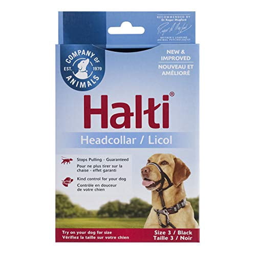 brown halti