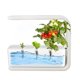 thumbnail image 1 of Hidropónnico de ESPECTRO FUSTENAME, de Cultivo Hidropónnico de Cultivo Interior, Kit de Germinación de Jardín Hidropónnico de Crecimiento Saludable Y Inteligente, 1 of 7
