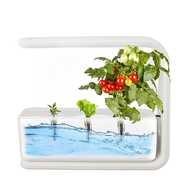 Hidropónnico de ESPECTRO FUSTENAME, de Cultivo Hidropónnico de Cultivo Interior, Kit de Germinación de Jardín Hidropónnico de Crecimiento Saludable Y Inteligente