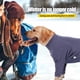 thumbnail image 5 of Abrigos de invierno para perros Mono polar cálido de 4 patas para perros pequeños, medianos y grandes Traje para perros para clima frío Traje de nieve para perros con cubierta de cuerpo completo, 5 of 5