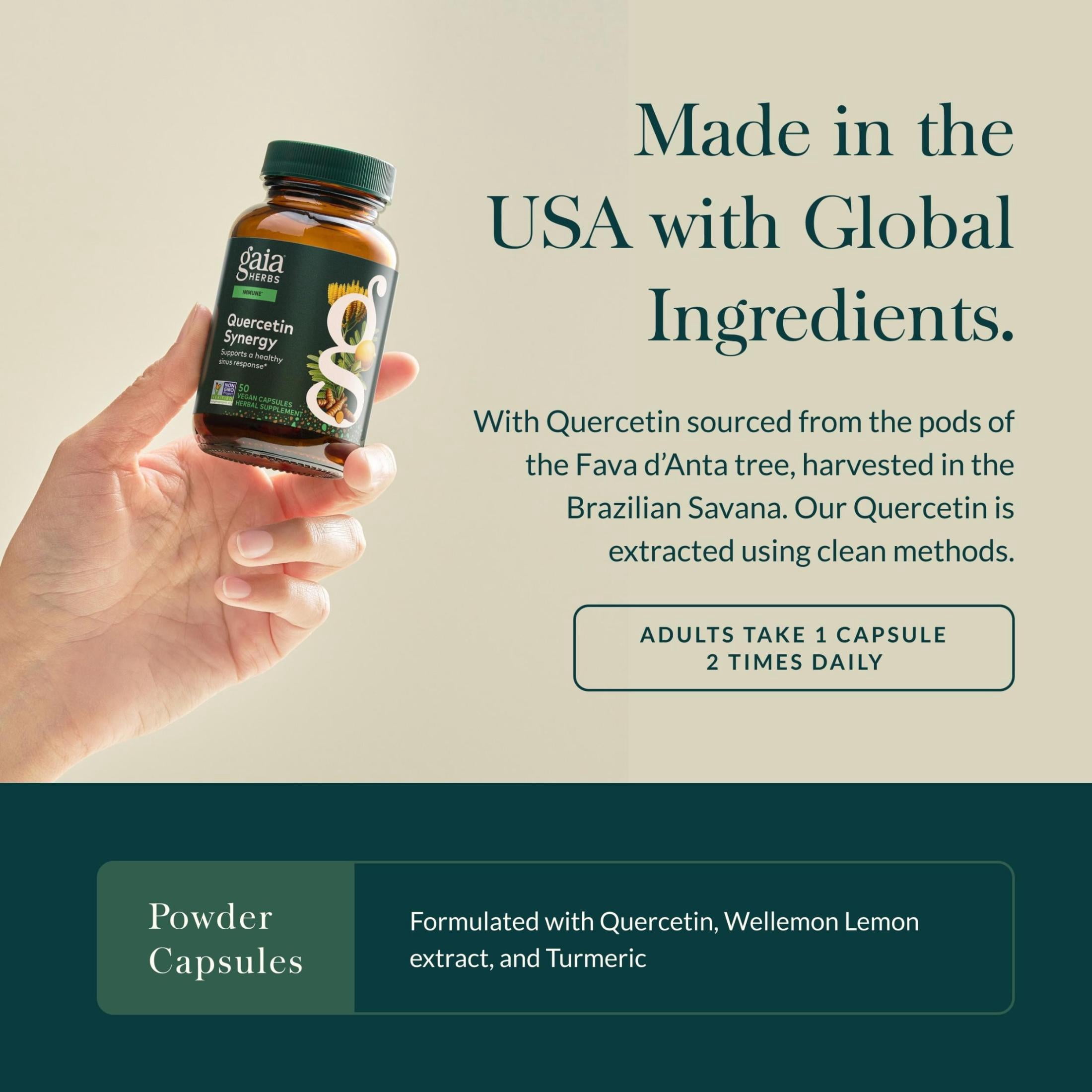 Gaia Herbs Quercetin Synergy - Supports Immune Health* - Wellemon Lemon Fruit Extract - 50 Vegan Capsules (50 Servings)