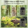 thumbnail image 4 of 1080P Trail Camera 16MP Wildlife Scouting Camera Tracking Camera with 2.0 Inch TFT Color Screen 0.8s Trigger Time Supports Infrared Night Vision Motion Activated IP66 Waterproof, 4 of 9