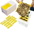 thumbnail image 2 of Boîte de Pollinisation King pour Apiculture Outil de Pollinisation pour Ruche, 2 of 9