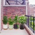 thumbnail image 4 of Drainage Holes and Small Pots Succulent Decorative Plant Pots for Outdoor,Indoor,Balcony,Patio,Garden Decor A, 4 of 5