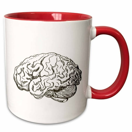 

3dRose Brain - Two Tone Red Mug 11-ounce