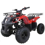 2021 New Tao Motor ATA- 1Automatic Gas All-Terrain Vehicle (ATV) With Big 16 Tires and Reverse - Midnight Black Color