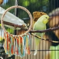 thumbnail image 3 of Juguete para pájaros forrajeros, juguetes de jaula para loros de larga duración, juguete para masticar y forrajear, juguete duradero para morder loros, juguetes de jaula coloridos con cuerda, 3 of 5
