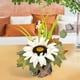 thumbnail image 4 of Decoración del hogar, decoración de habitaciones, decoración de paredes, decoraciones de plantas simuladas, accesorios de decoración, decoración de hojas de arce, decoración del hogar con un colgante, 4 of 9