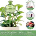 thumbnail image 4 of 3 piezas de globos de riego de plantas LANNMXG inserto de maceta de riego automático de cactus, 4 of 5