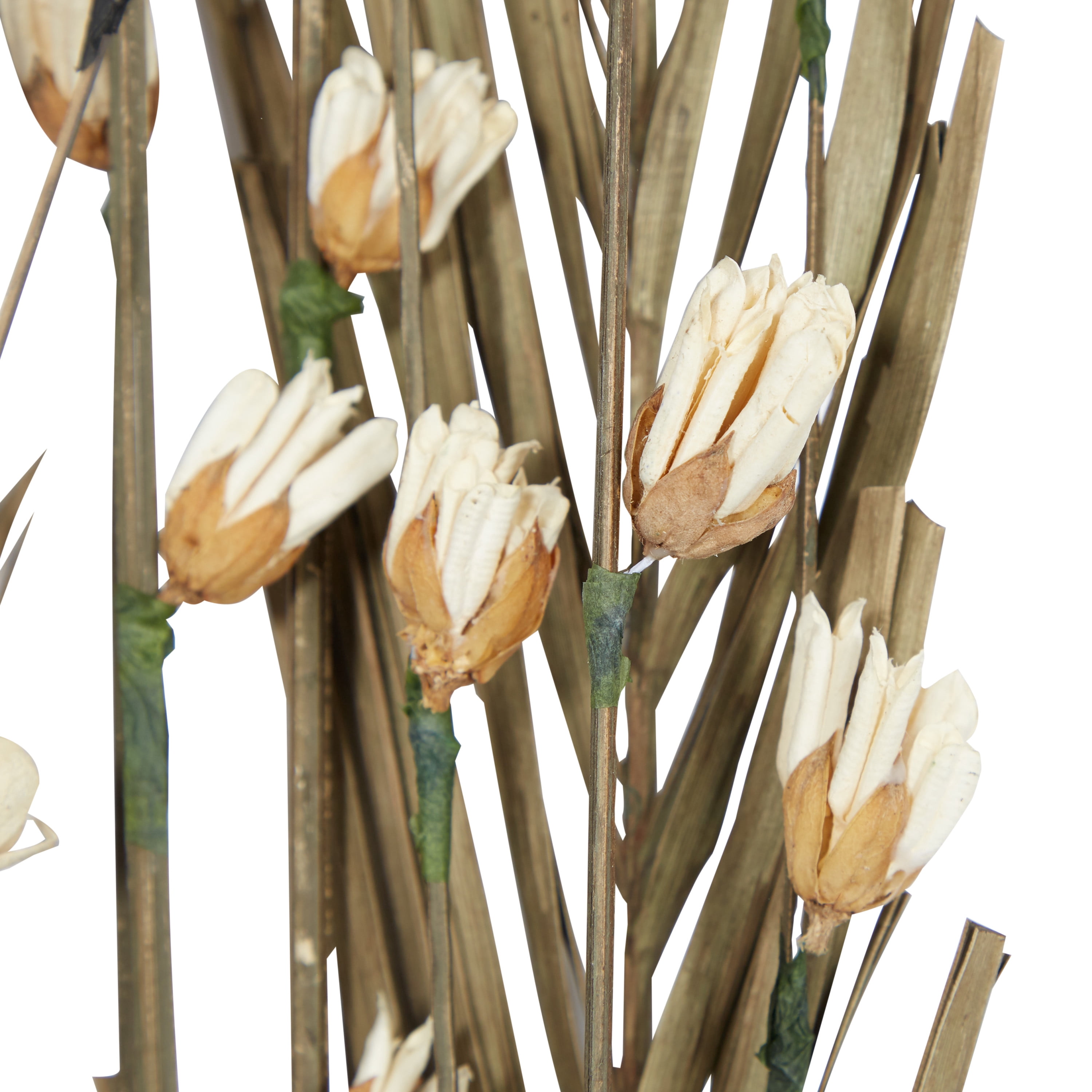 58" Dried Plant Natural Foliage Pigeon pea Bouquet, by DecMode (2 Count)