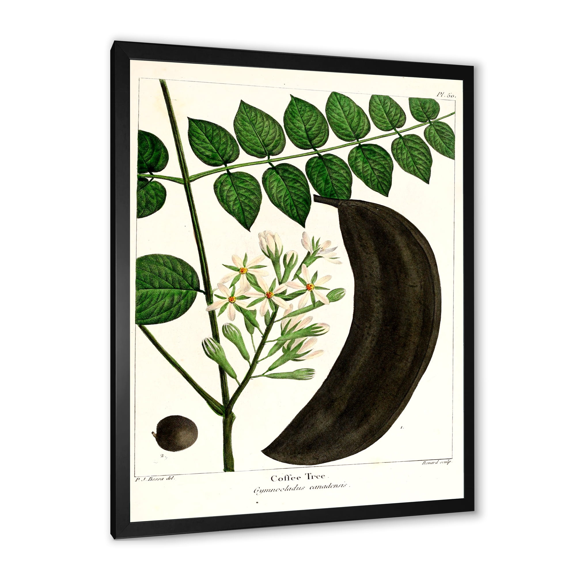 Designart 'Ancient Plant Life IX' Traditional Framed Art Print