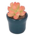 thumbnail image 4 of Suculentas artificiales para casa de muñecas alta simulación para evitar la decoloración maceta suculenta falsa en miniatura hermoso Color para decoración ANGGREK Otros, 4 of 8