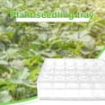 thumbnail image 4 of Bandejas de plántulas - Bandejas de germinación de plástico para inería Bandejas de tapones reutilizables propagador pa 5 piezas L Macarena Jardinera de vivero, 4 of 8