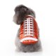 thumbnail image 1 of La ropa para mascotas Mimigo para Navidad y Halloween es divertida y linda, suave y cómoda al tacto, lo que puede mantener a las mascotas hermosas y cómodas., 1 of 3