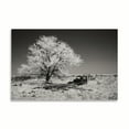 thumbnail image 2 of Gango Home Decor Truck & Tree by George Johnson (Printed on Paper); One 36x24in Fine Art Paper Giclee Print, 2 of 4