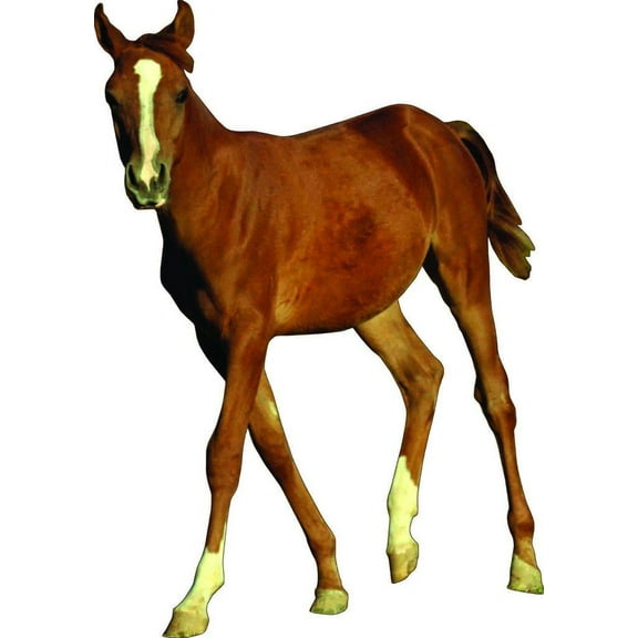 Horse XI Wall Decal Cutout