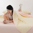 thumbnail image 4 of Summer Air Conditioning Quilt Cool Feeling Ice Silk Summer Quilt Thin Ice Cream Quilt Washable Washable, 4 of 8
