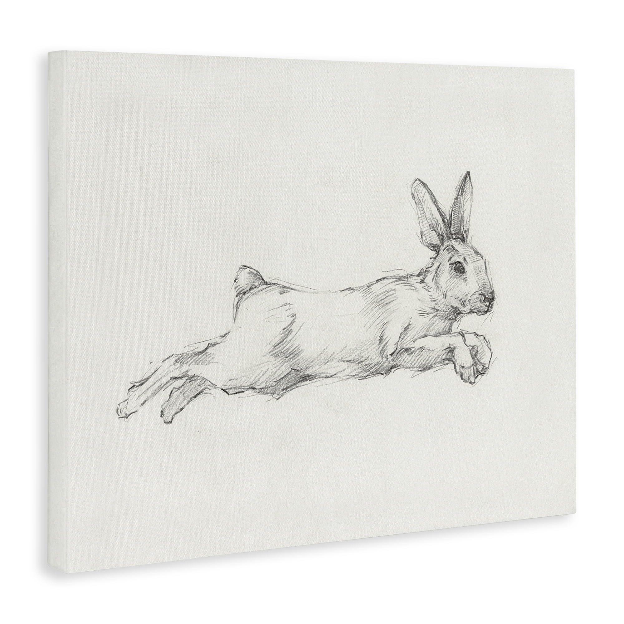 Stupell Industries Jumping Rabbit Sketch Animals & Insects Drawing Gallery Wrapped Canvas Art Print Wall Art, 48 x 36